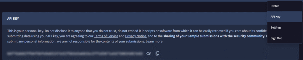 vt-api-key.png